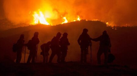 wildland firefighters
